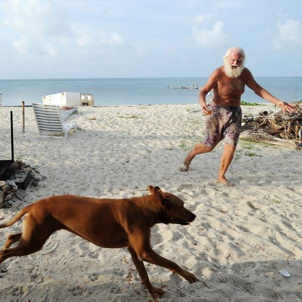 Cultination tweet media