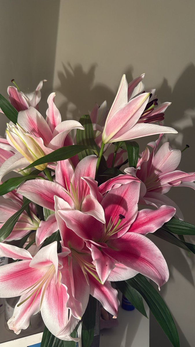 لِيَـان tweet media