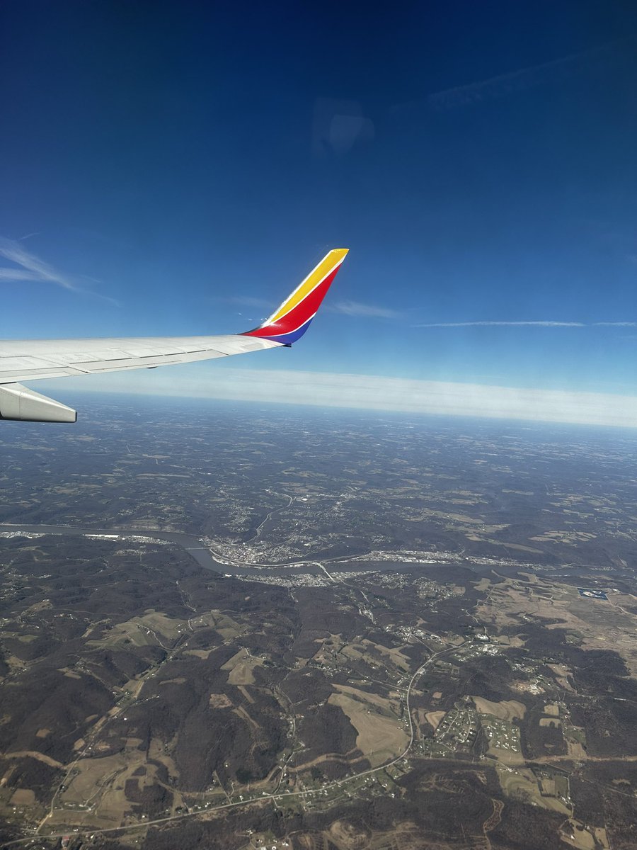 pei ⭐️ tweet media