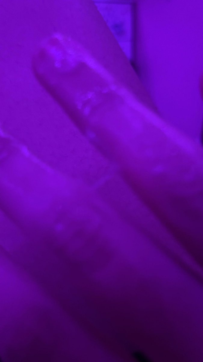 EmilyOF2008 tweet picture