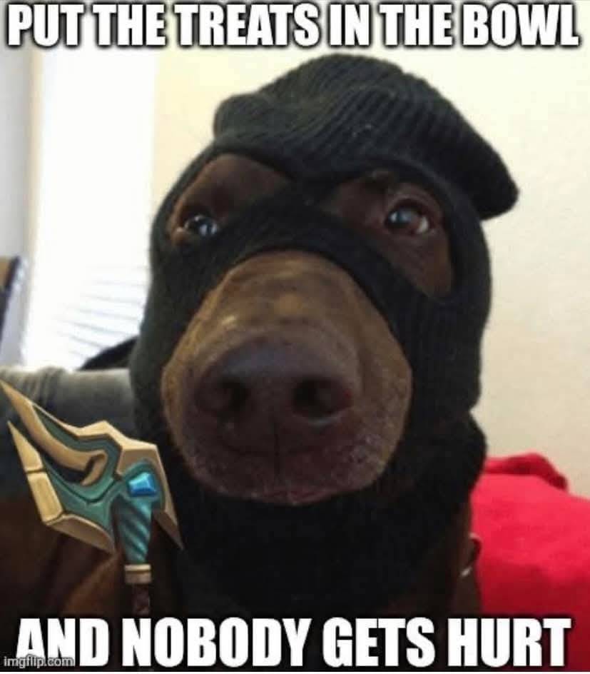 Heckin Good Dogs tweet media