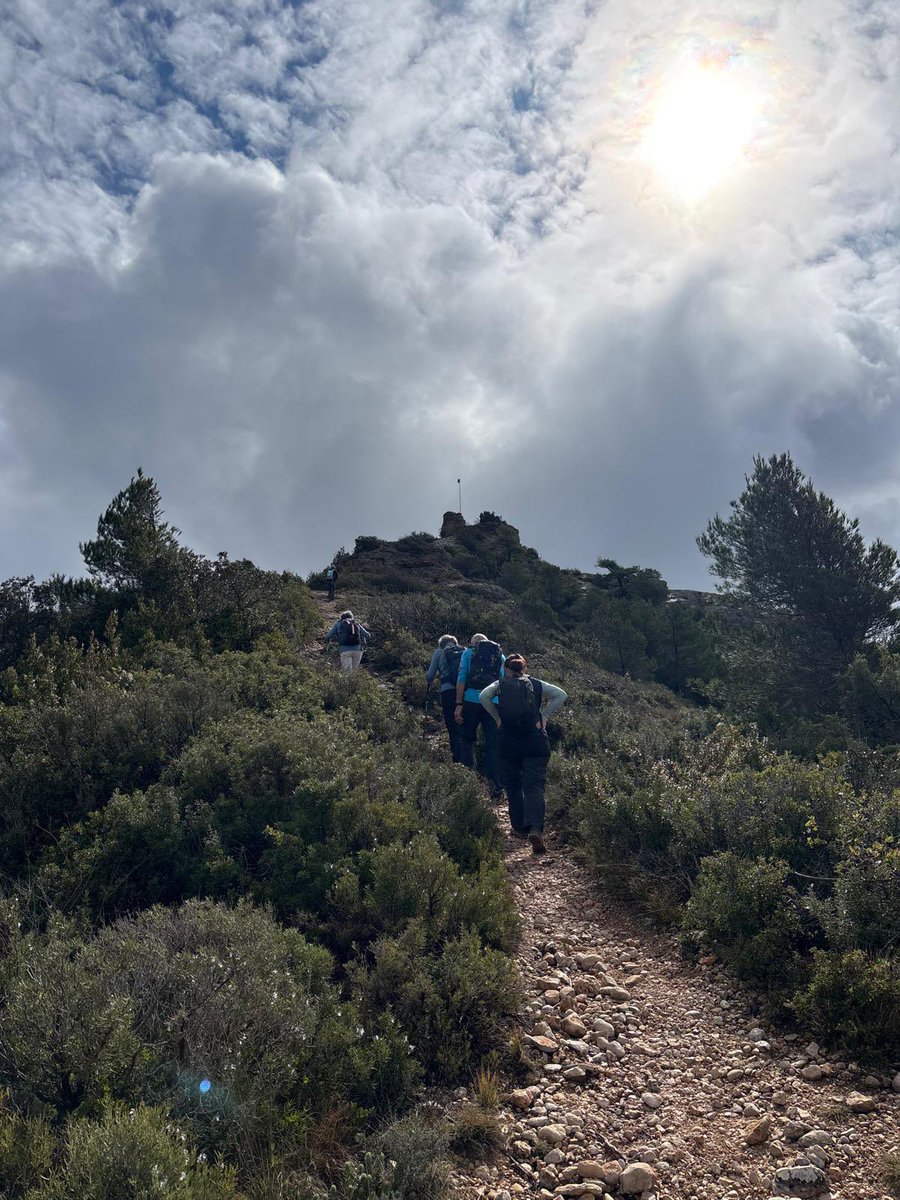 aamp.cat tweet media