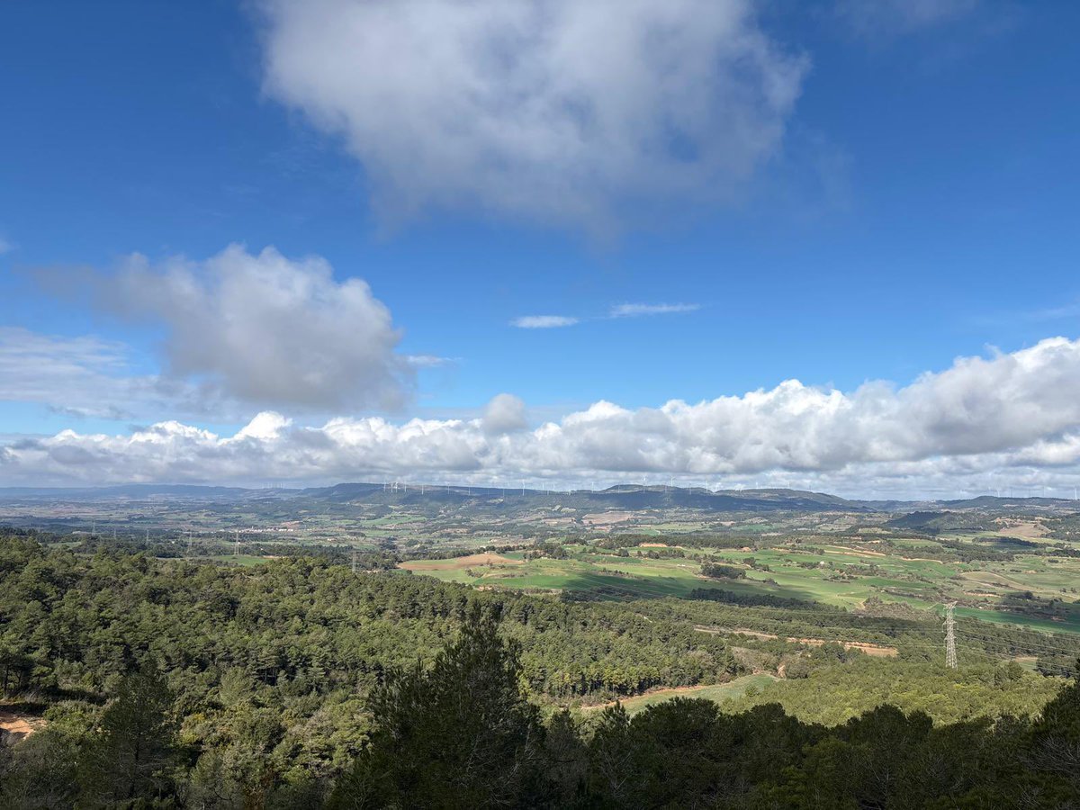 aamp.cat tweet media