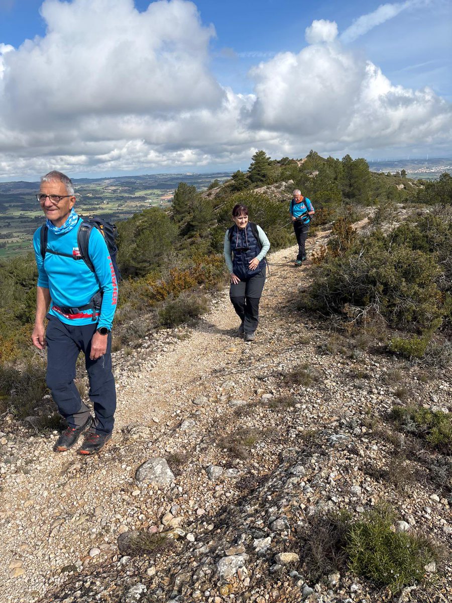 aamp.cat tweet media