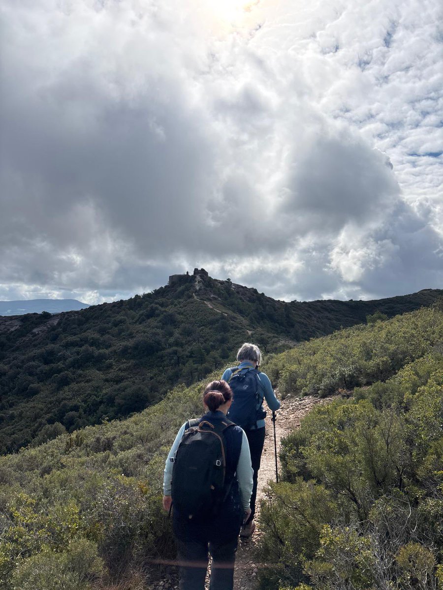 aamp.cat tweet media