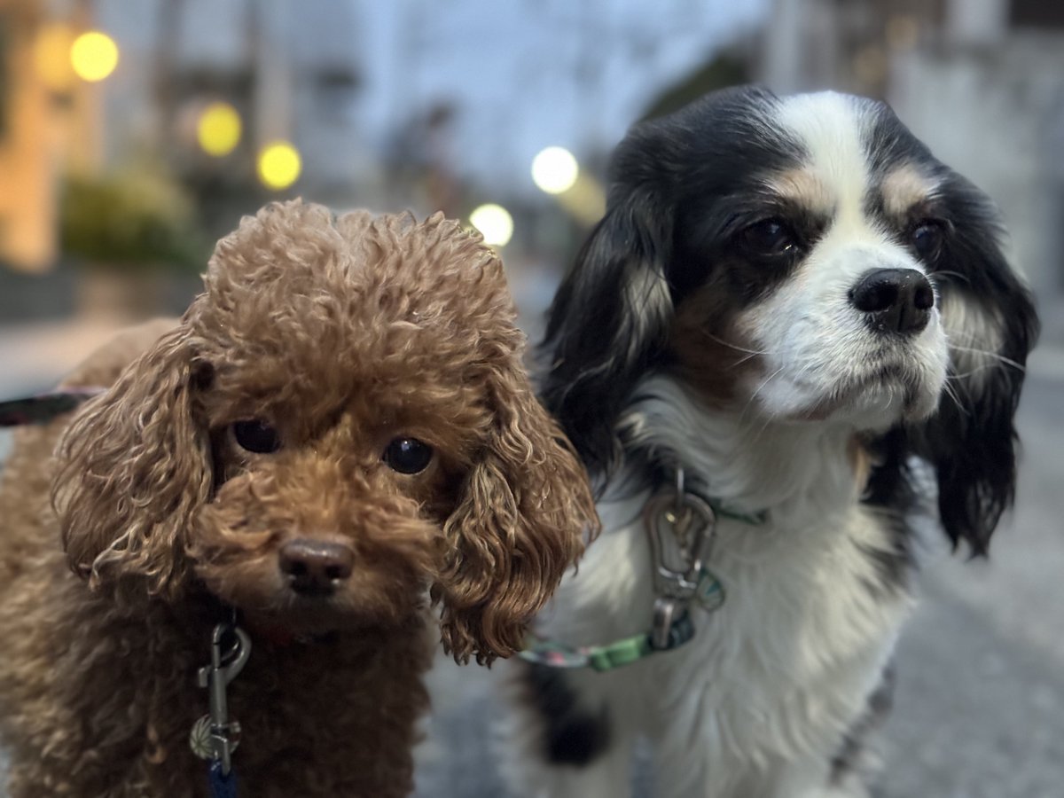 門田充宏 / Mitsuhiro Monden tweet media