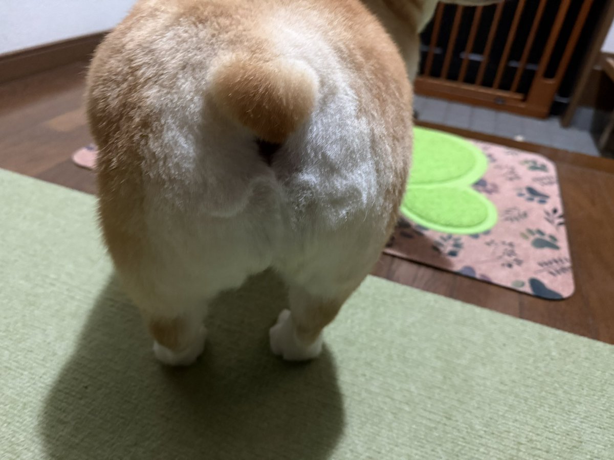 815BERRY2020's tweet photo. ハートにしてください〜💓
かわいい😍 https://t.co/EjaZktgk4q