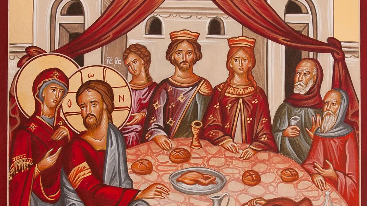 Cole Hogan tweet media