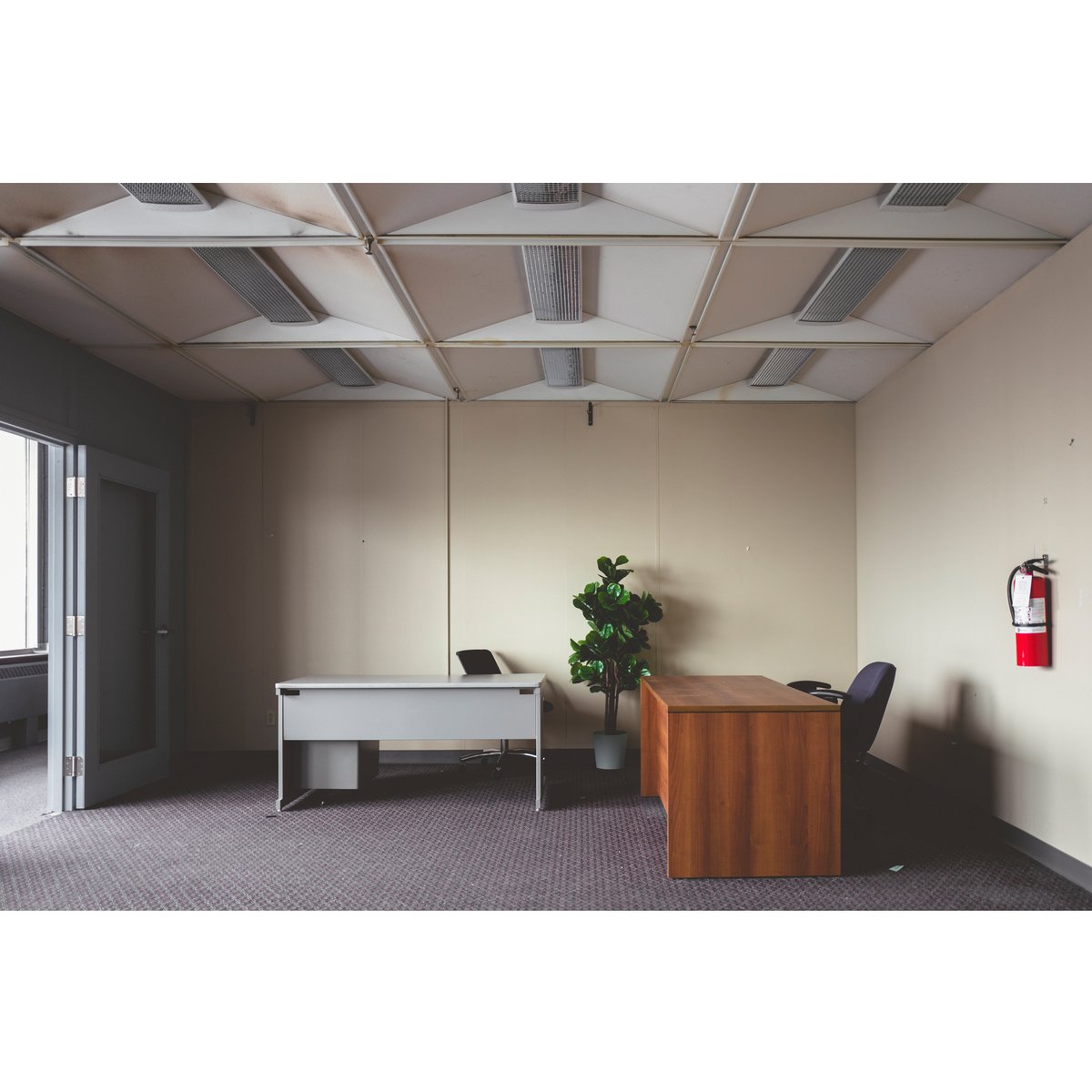 RealJonathanCastellino tweet media