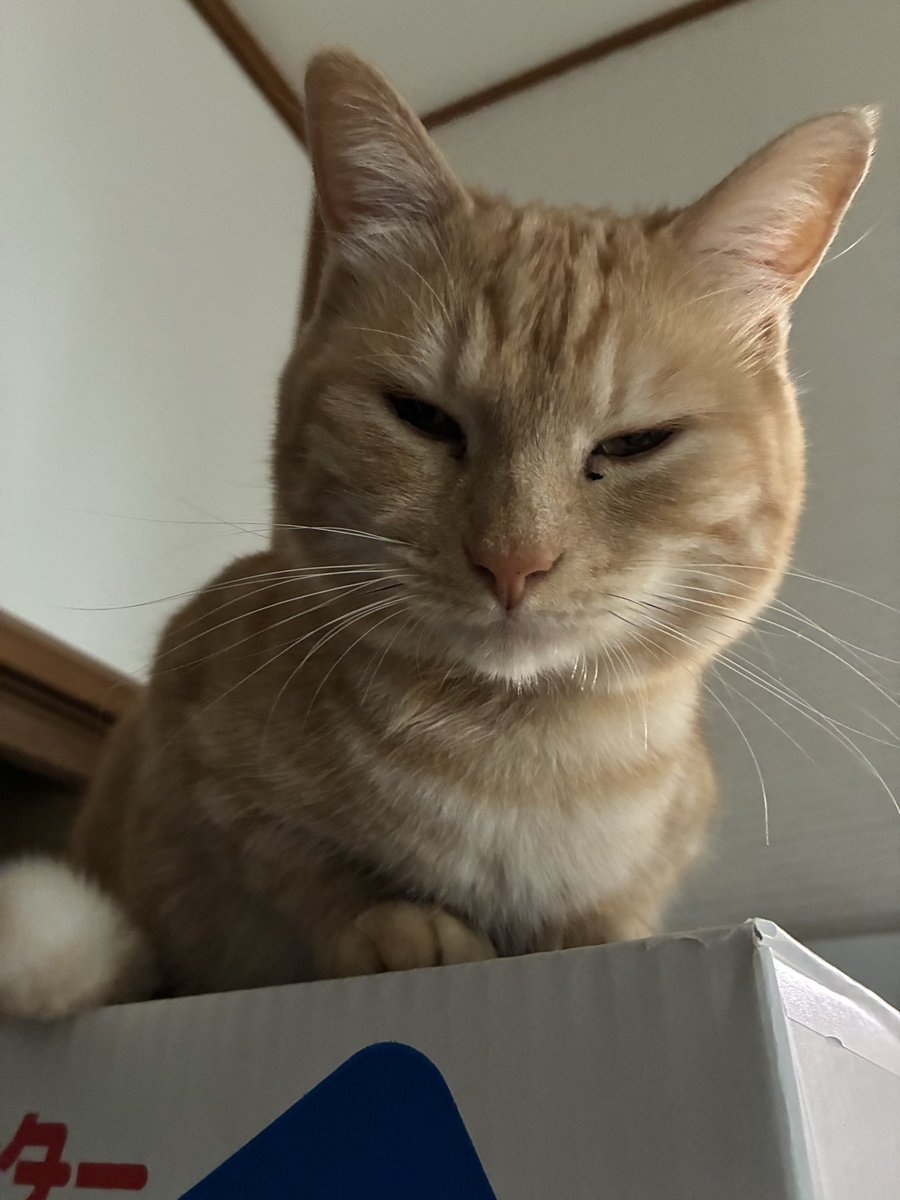 おはようございます☀
今日もよろしくおねがいします✨

今日も寝坊しました。
2時に起こすのやめてください😭
まだ2時じゃん‼️て寝ちゃいます😭