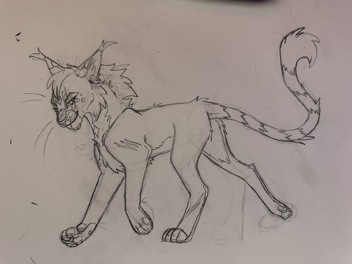 𝙼𝚎𝚘𝚠𝚟𝚢 tweet media