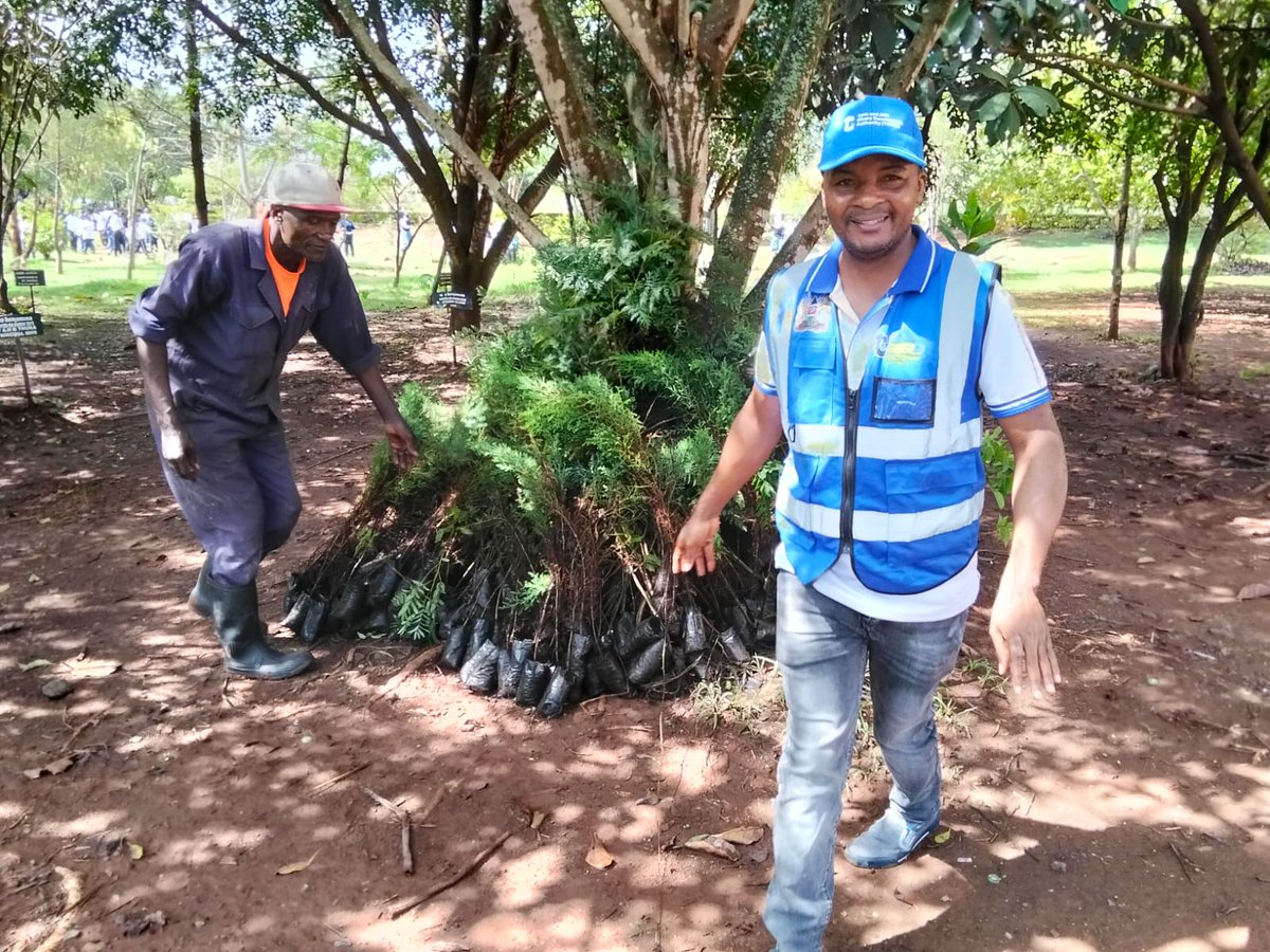 TardaKE's tweet photo. 🌱 16,000 TREES. 32 SCHOOLS. ONE MISSION.

1: We’re still energized from last weekend’s inspiring tree planting event at Mang’u High School where youth, institutions, and partners came together to champion environmental conservation &amp; climate action! #TreeGrowingKE #ClimateAction https://t.co/N0I8Ox3po3