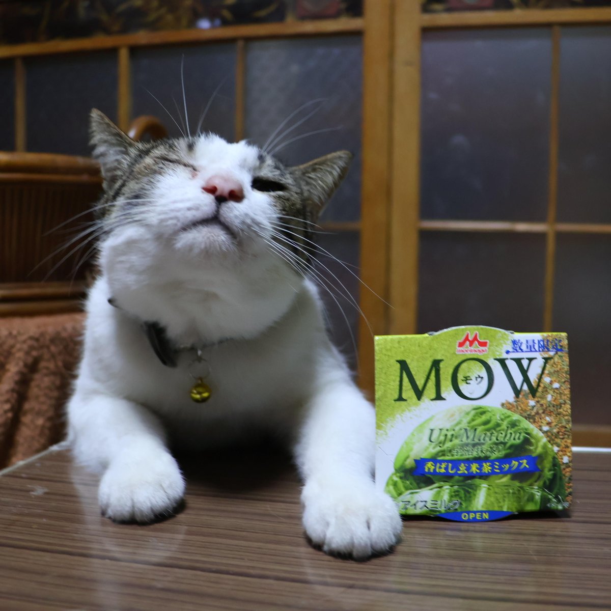shironeko_1's tweet image. ちゃぶ台のMOW(モウ) 宇治抹茶～香ばし玄米茶ミックス～

#MOW(モウ) 宇治抹茶～香ばし玄米茶ミックス～
#ちゃぶ台
#テーブル
#ネコ
#ねこ
#猫