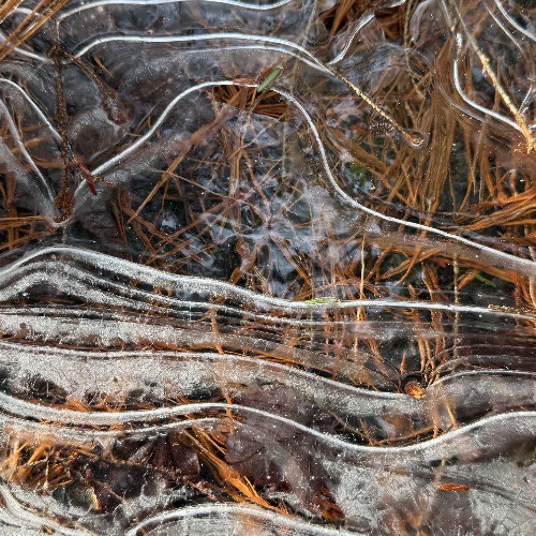 Frequency State tweet media