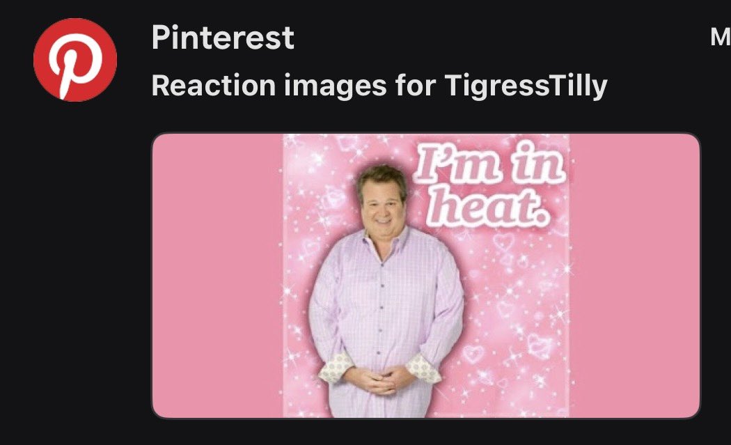TigressTilly 🐾🌸 tweet media