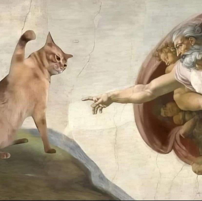 Pablets de Avendanus tweet media