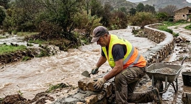 Fernando López Alonso tweet media
