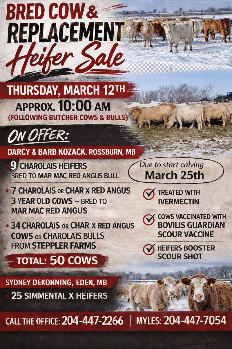 Ste. Rose Auction Mart tweet media