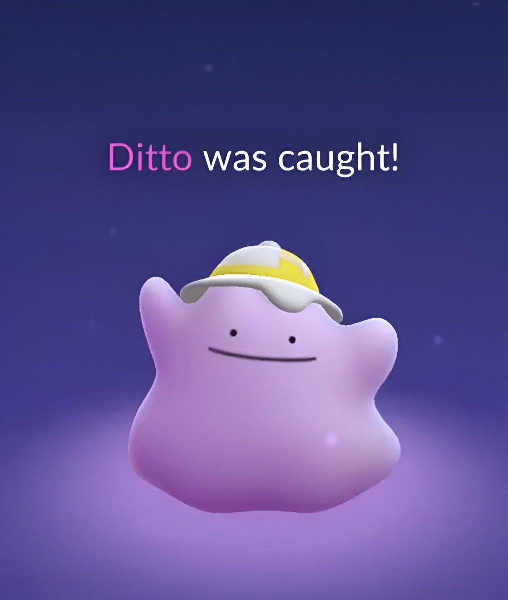 hat ditto is here! 

good luck 🍀