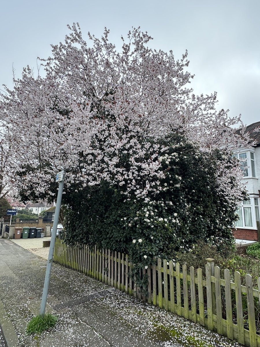 Urbanponds101 tweet media