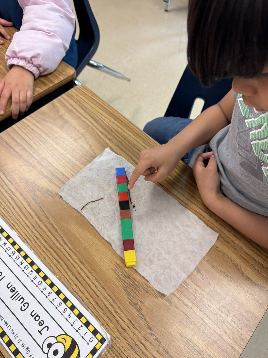 SterlingElemen1's tweet photo. First grade learning about living things by studying and measuring worms! 🪱 📏 @CharMeckSchools  @IllustrateMath  @ELeducation #sterlingpride🐯 #Crew89 #1stGrade #LevelUP⬆️ https://t.co/O6bCLFfihS