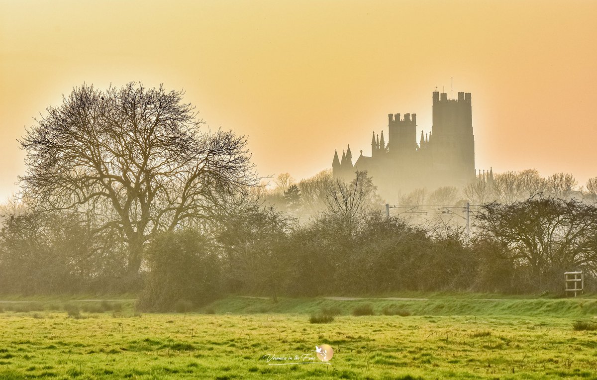 VeronicaJoPo's tweet photo. We had a truly amazing sunset this Monday afternoon in Ely. I manage to capture these over the magnificent @Ely_Cathedral 💛🥰🧡
Ely, Cambridgeshire 
#Sunset #ElyCathedral #ShipoftheFens #MistySunset #SaharaDust #Springtime https://t.co/Y2KiCbAR4u