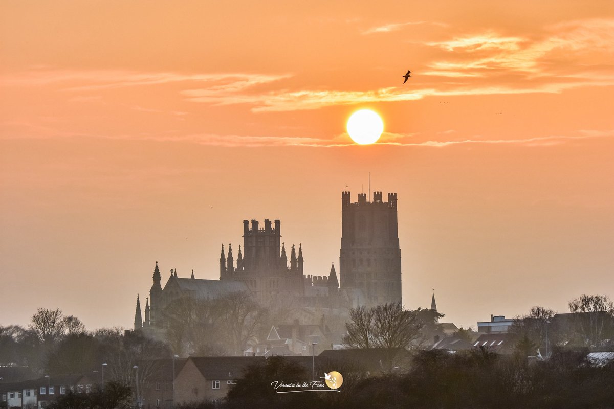 VeronicaJoPo's tweet photo. We had a truly amazing sunset this Monday afternoon in Ely. I manage to capture these over the magnificent @Ely_Cathedral 💛🥰🧡
Ely, Cambridgeshire 
#Sunset #ElyCathedral #ShipoftheFens #MistySunset #SaharaDust #Springtime https://t.co/Y2KiCbAR4u