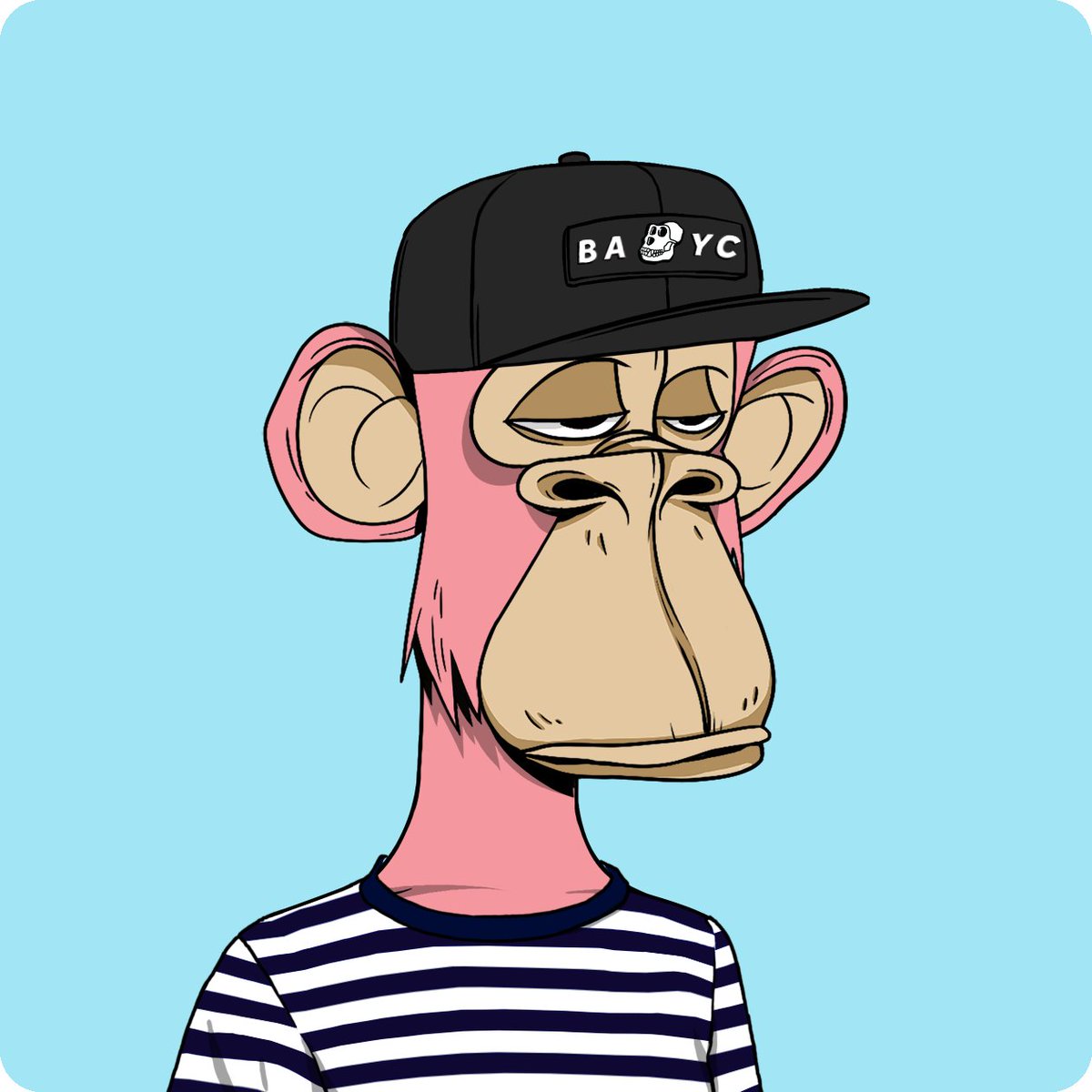 jeffbozos 🍌 🦍 tweet media