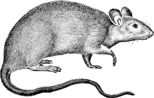 Mandy Murphy tweet media