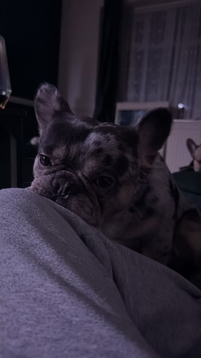 Kornelius👑 tweet media