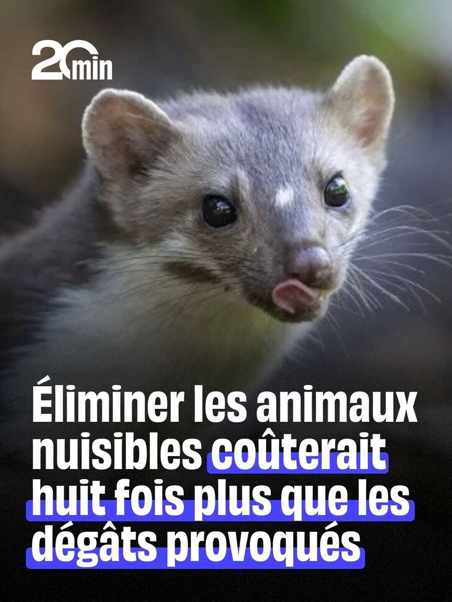 20 Minutes tweet media