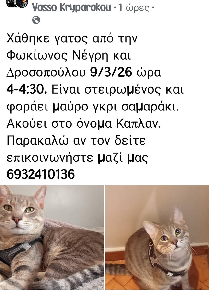 εφη απλα tweet media