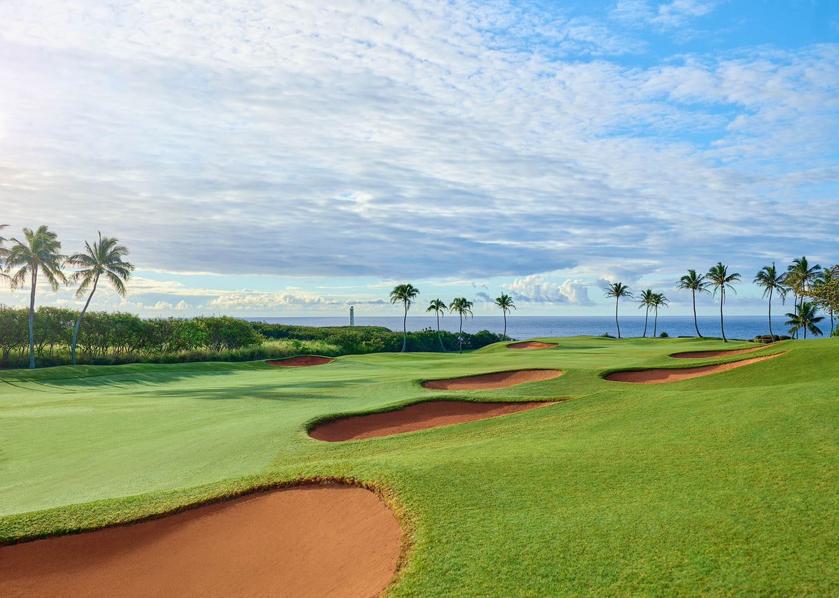 GoGolfKauai.com tweet media