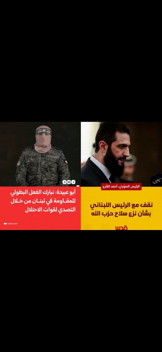 Majd tweet media