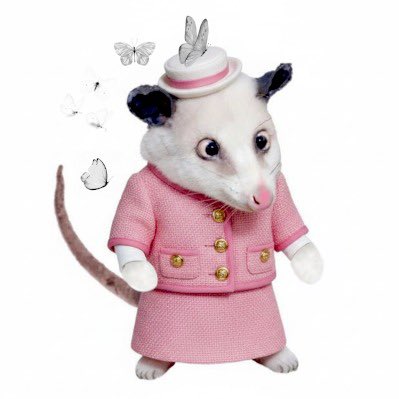 Fellarinasaurus Bonk tweet media