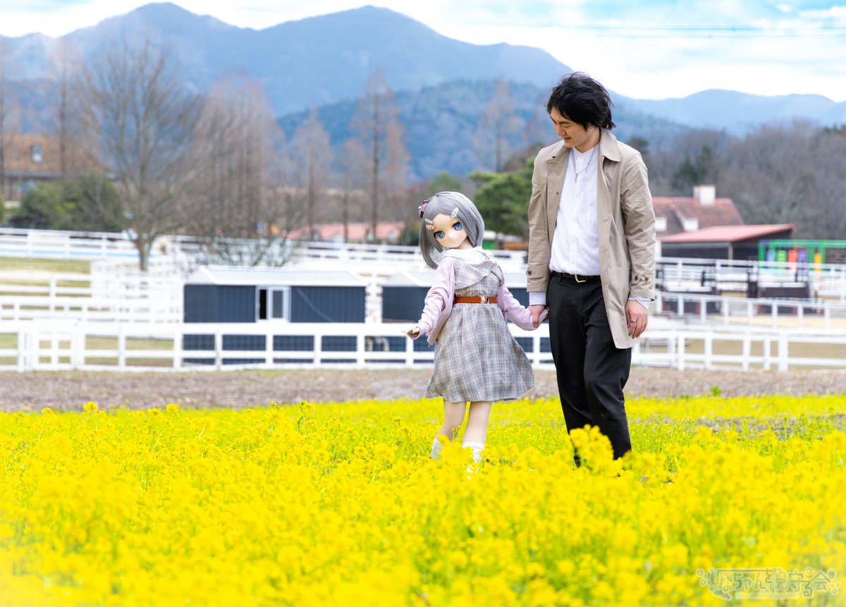 菜の花の海を、ふたりで歩く
#等身大ドールとオーナー