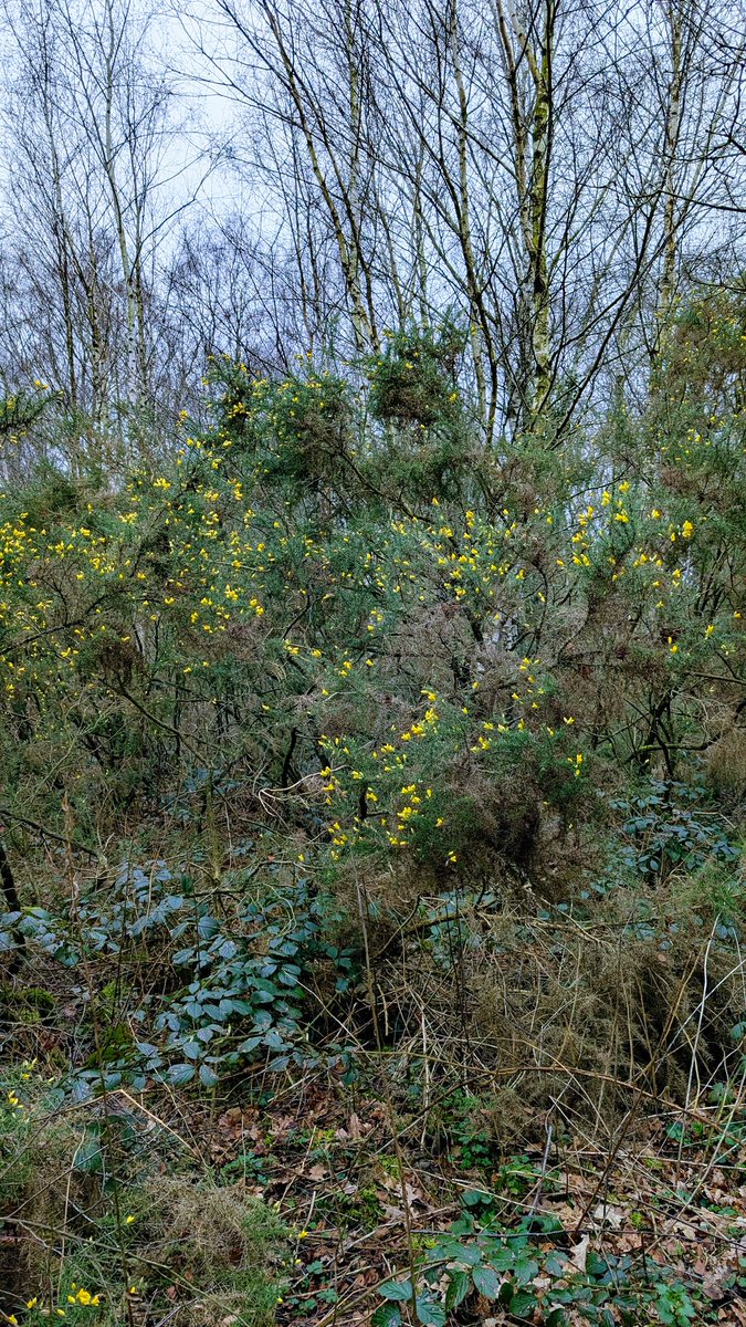 Philip Anderson tweet media