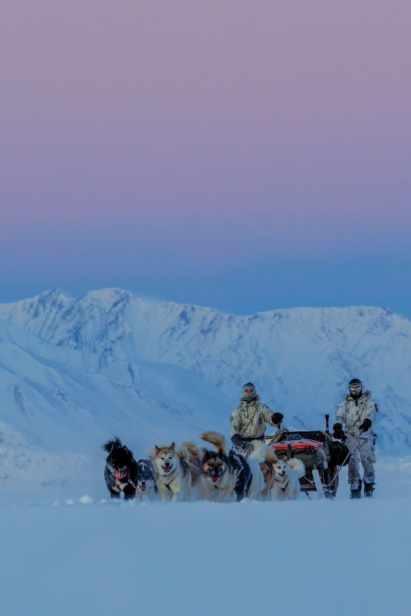 The 🇩🇰 Sirius Dog Sled Patrol continues its patrols in East Greenland 🇬🇱

The sled team seen here is in Kong Oscar Fjord, off Mestersvig.

📸: The Sirius Dog Sled Patrol.