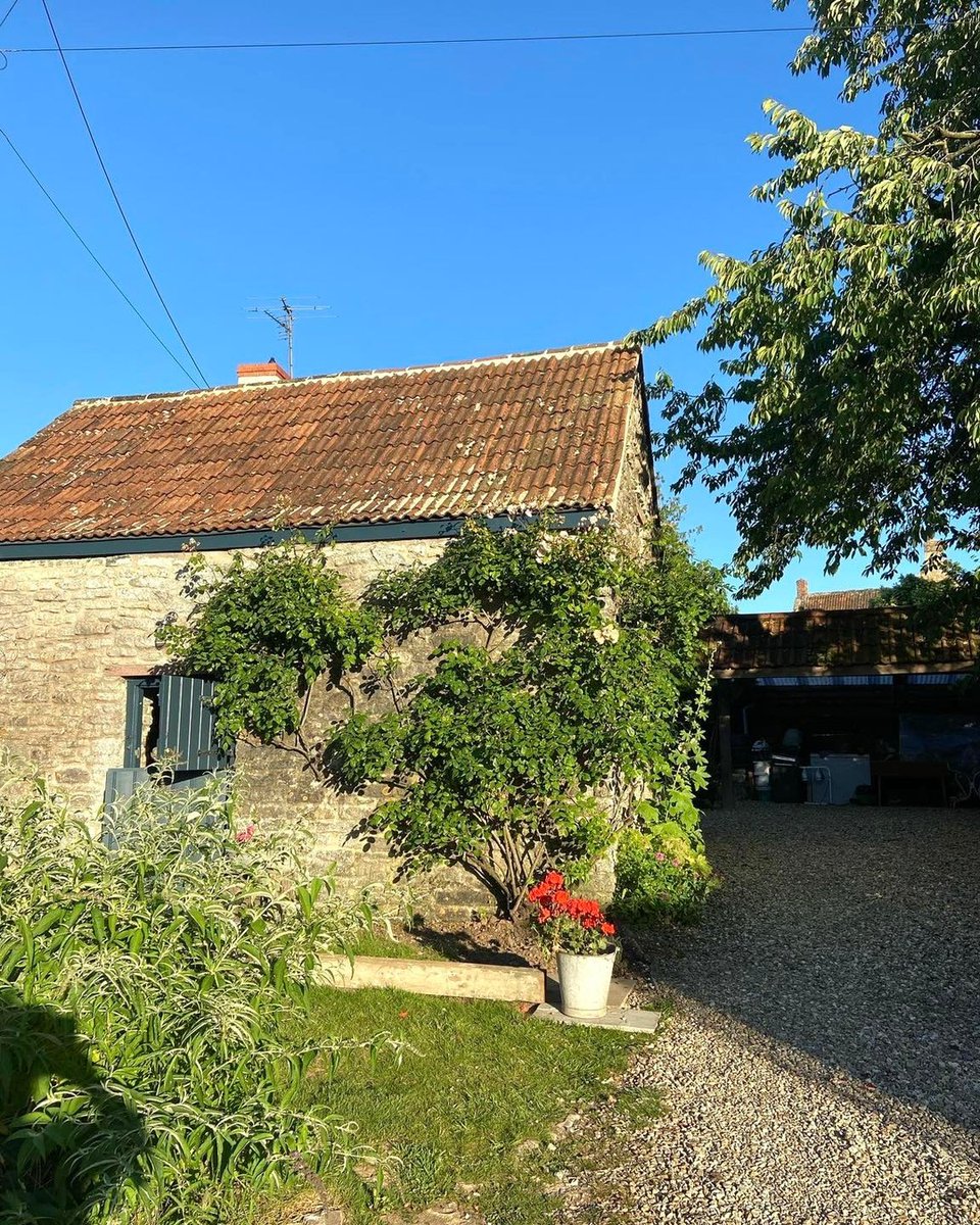 The Forge in Alhampton - Rental available now for min 6 months - mailchi.mp/3875f521b639/w…