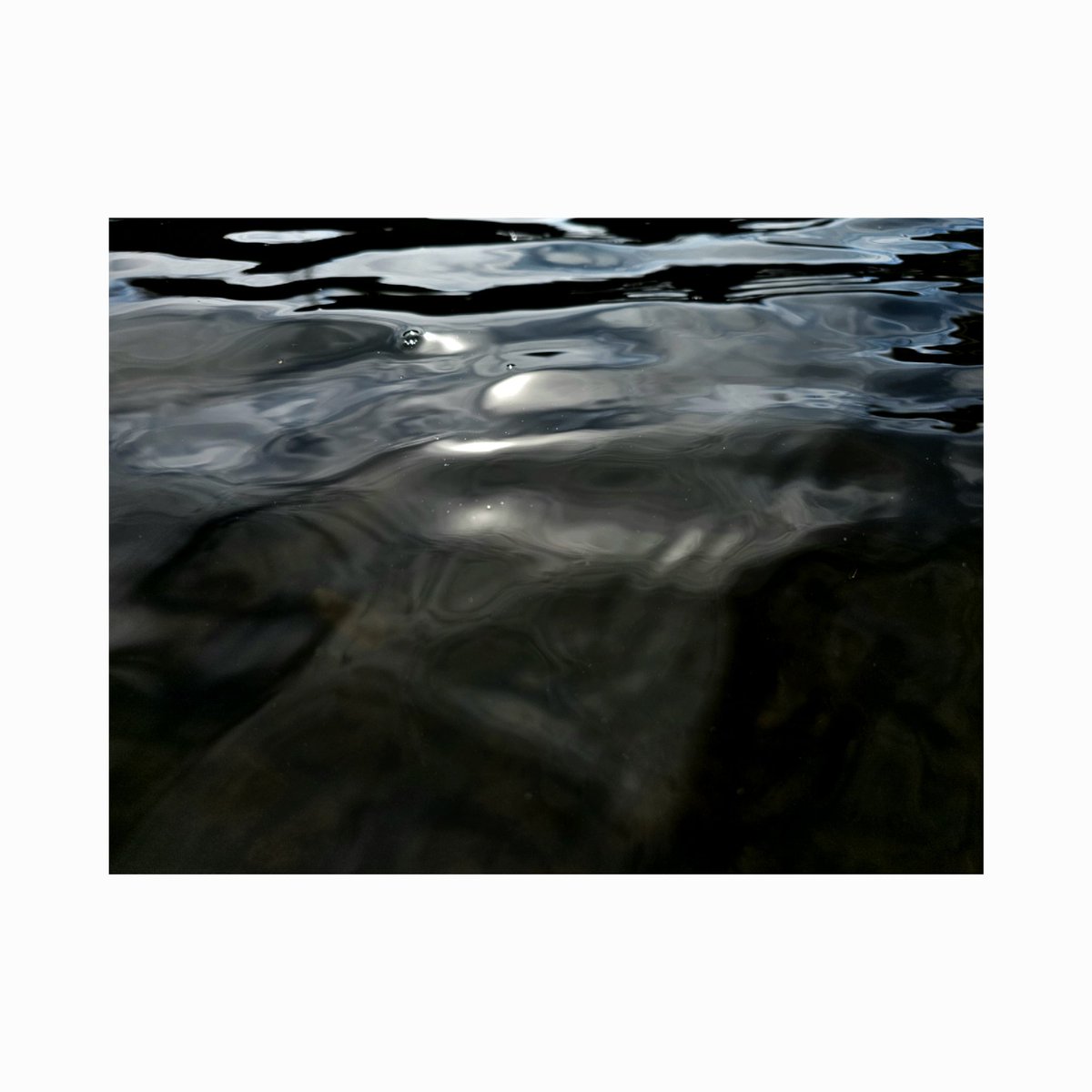 rabbit (@e_retlaw) on Twitter photo 