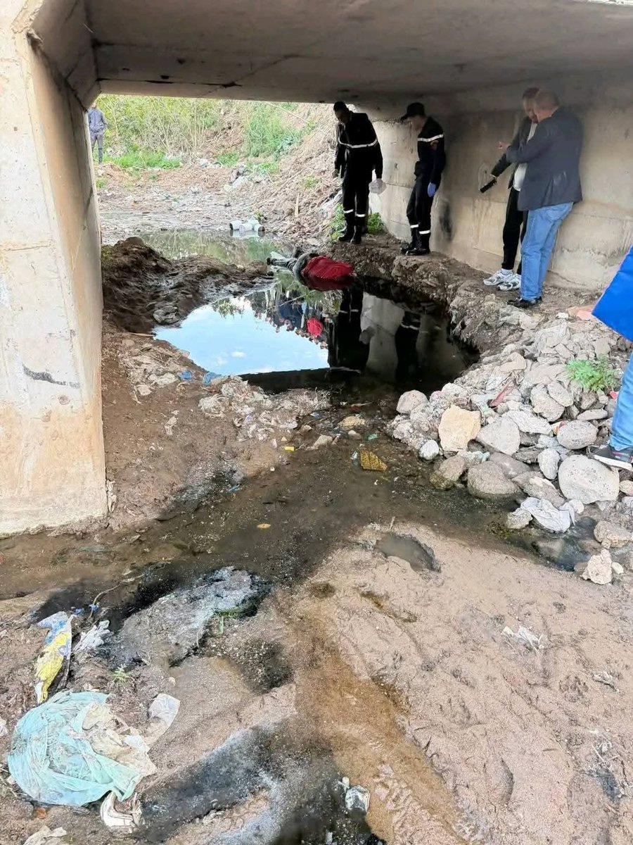 L'Oriental Marocain ۞ tweet media