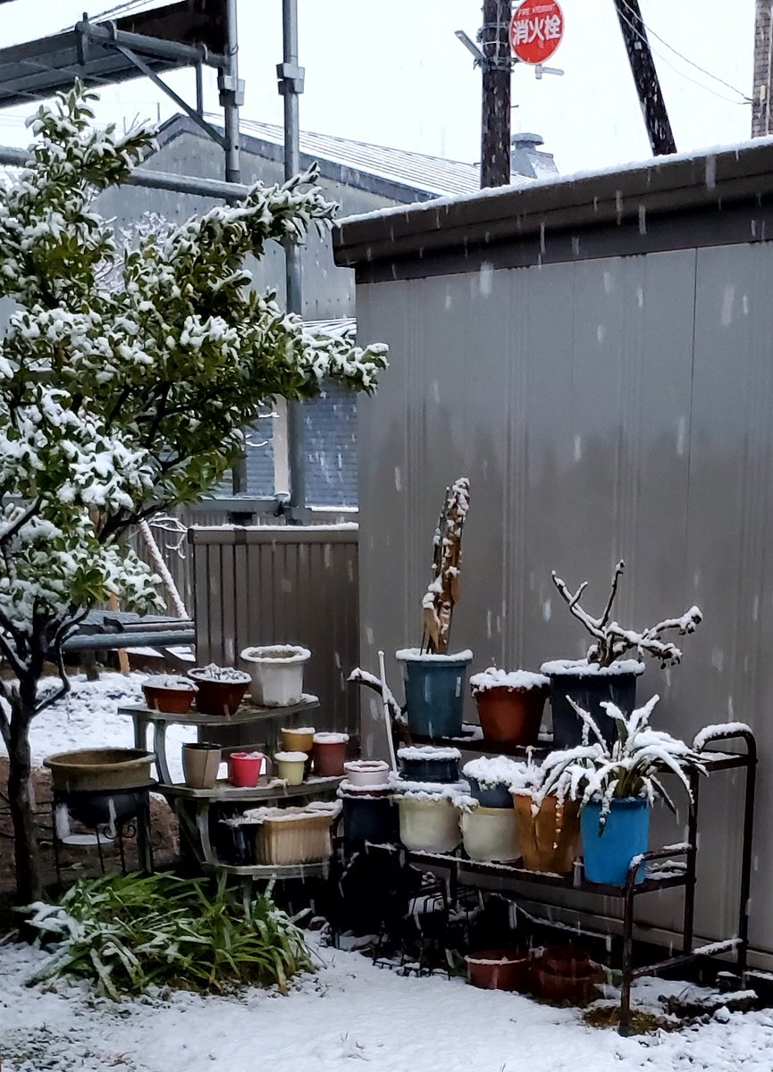 𝑻𝑬𝒀.⋆ tweet media