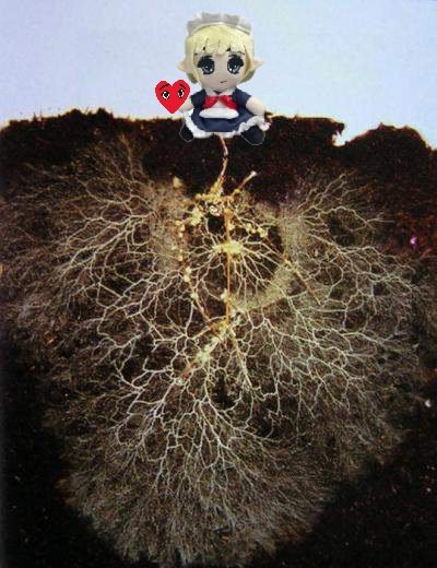 𝖑𝖎𝖑𝖘k𝖊𝖙𝖈𝖍.𝖊𝖙𝖍 ♡ 邪教 tweet media