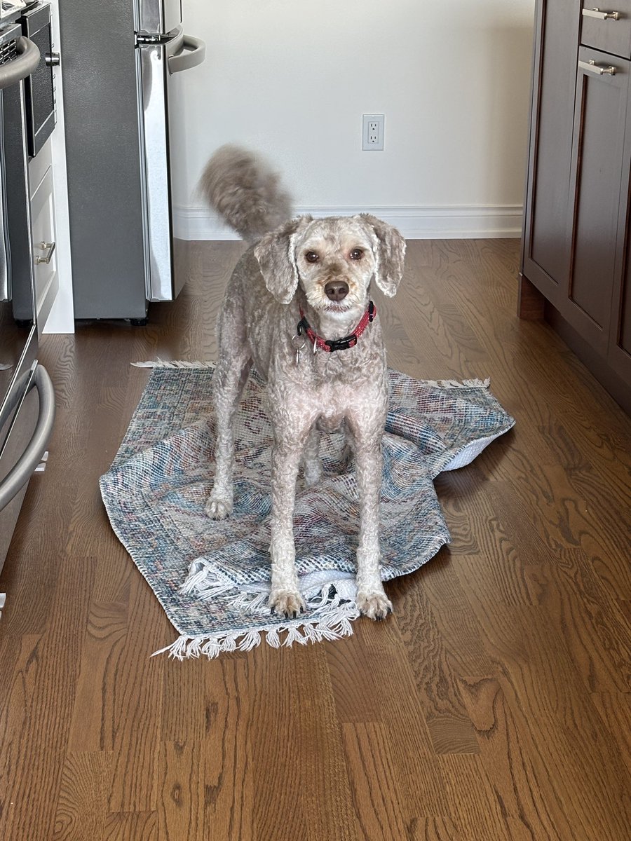 Keith Meldrum 🇨🇦 tweet media