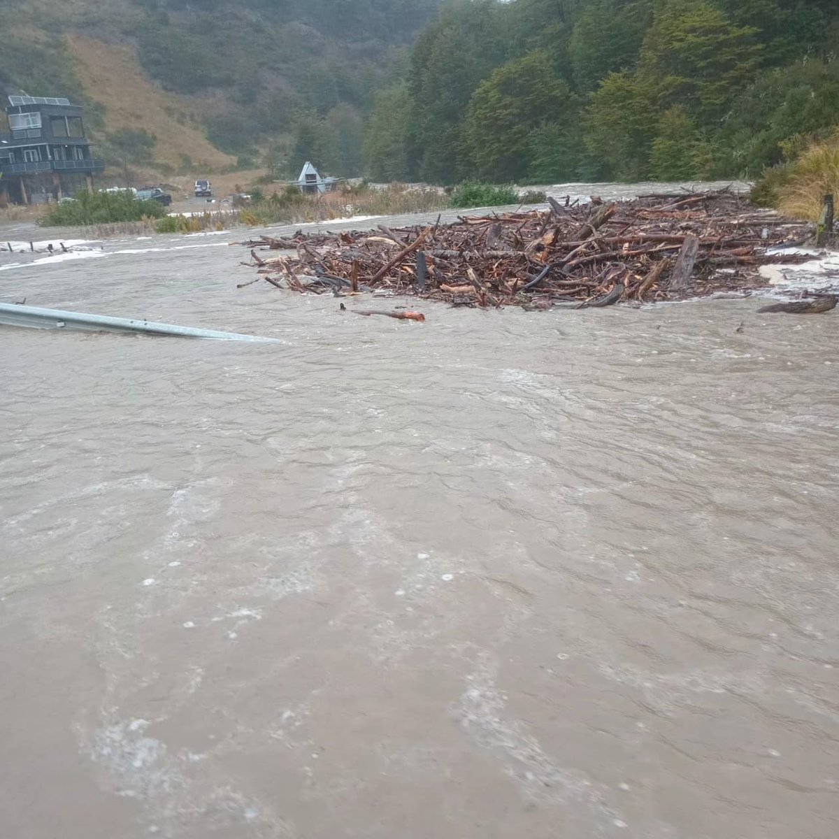 MOP Magallanes tweet media