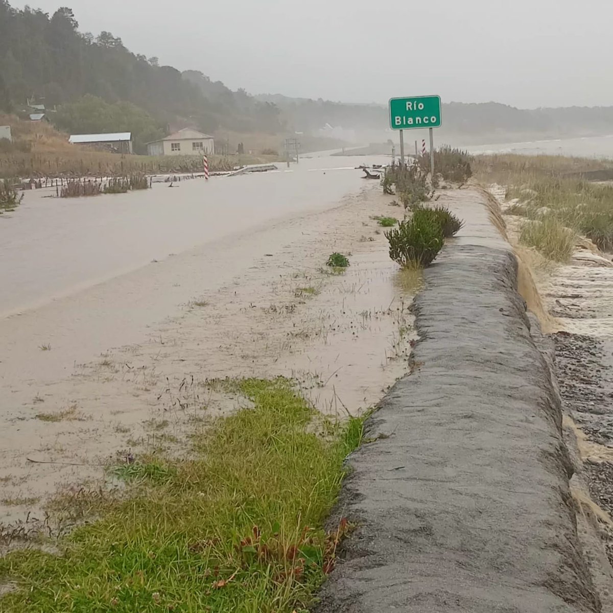 MOP Magallanes tweet media