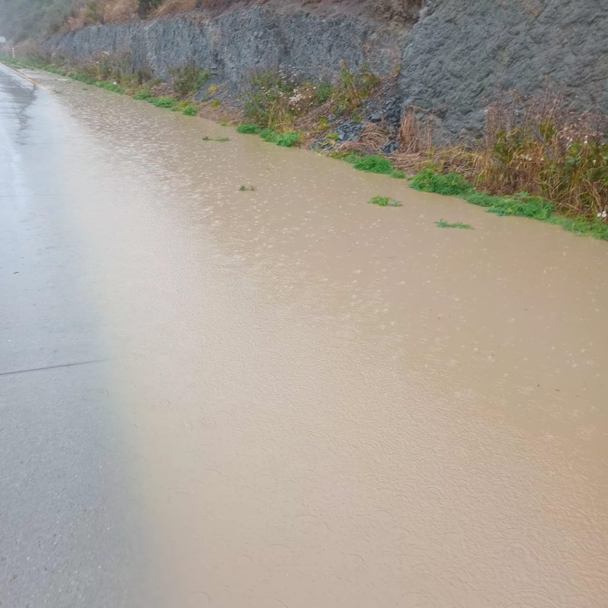 MOP Magallanes tweet media