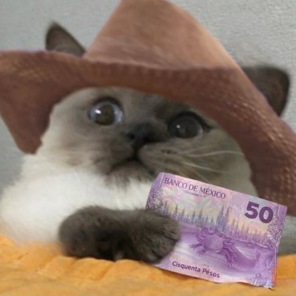 Maestre Mapaxito tweet media