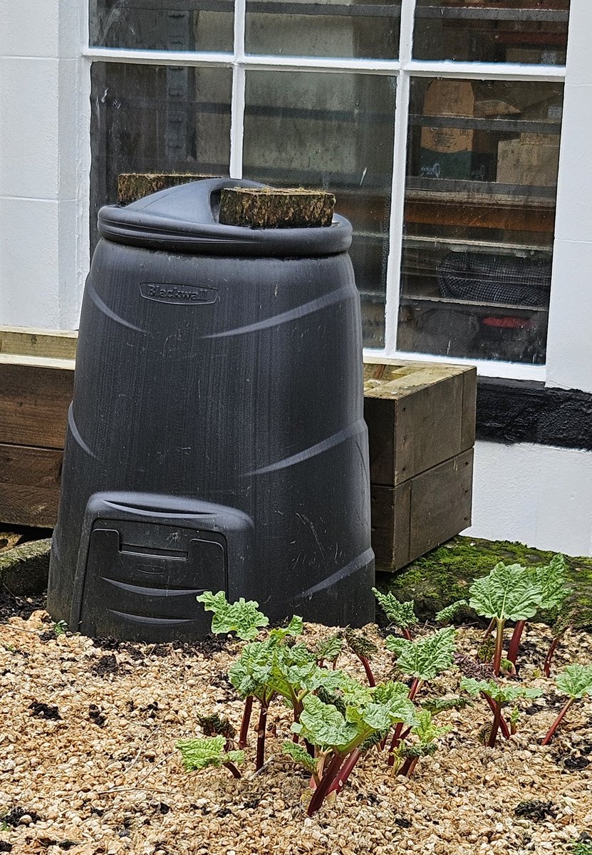 barbmilne's tweet image. Compost bin, and rhubarb, the Handmade Bakery kitchen garden, beside the Huddersfield Narrow Canal #Slaithwaite @GardensHour #GardensHour