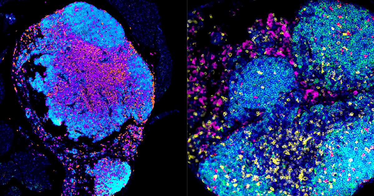 UC San Diego Health Moores Cancer Center tweet media
